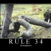 Rule 34 Rule 34