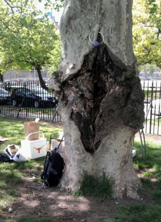 Tree piercing