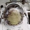 Astronaut puke Astronaut puke