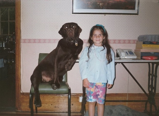 Dog posing