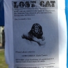 Lost cat Lost cat