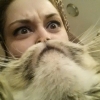 Cat beard Cat beard