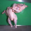 Chicken wrestling