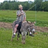Donkey ride Donkey ride