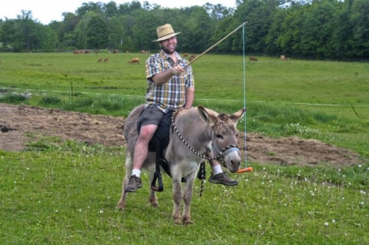 Donkey ride