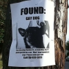 Gay dog found Gay dog found