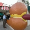 Hotdog fail