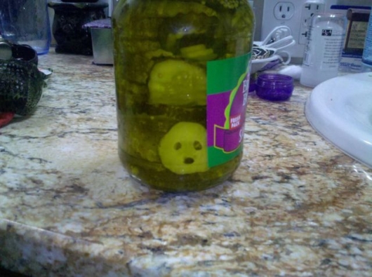 Sad pickle and suprised electrical socket