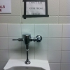 Don't eat gum from the urinal Don't eat gum from the urinal