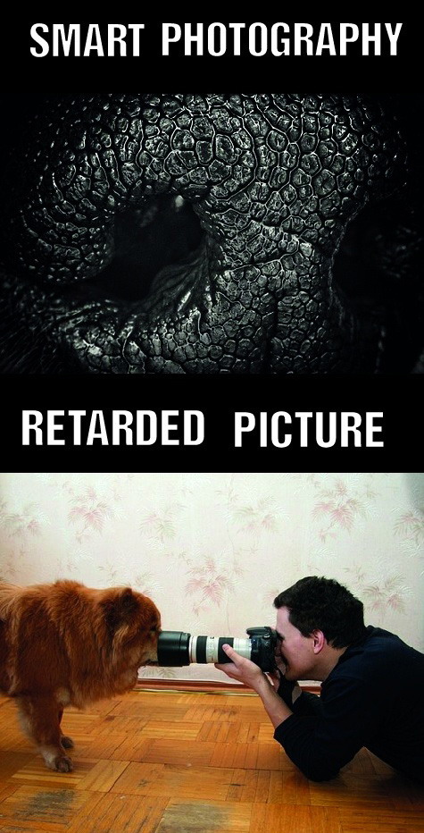 Smart photography / retarded picture