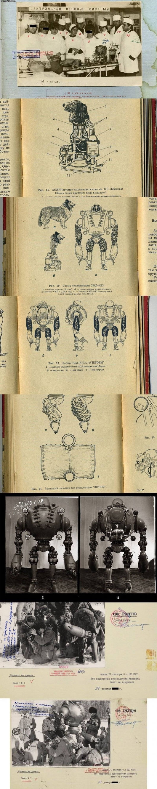 Vintage Russian robot dog