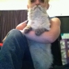 Catbeard Catbeard