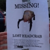 Missing headcrab