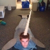 Narwhal cosplay Narwhal cosplay
