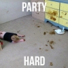 Party hard Party hard