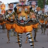 Tiger costumes Tiger costumes