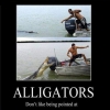 Alligators Alligators