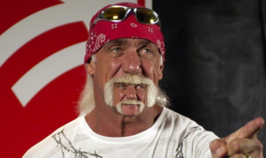 Hulk Hogan's chin