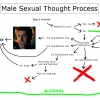 Male sexual thought process
