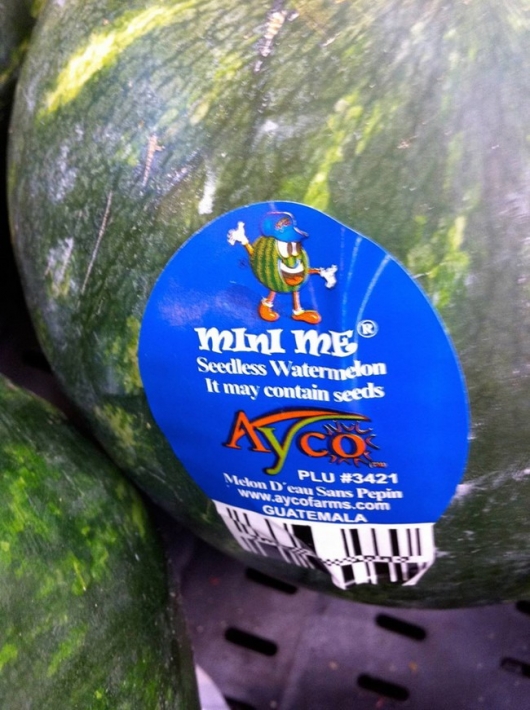 Mini Me watermelon