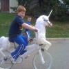 Unicorn bike