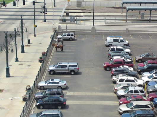Parked horses