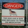 Beware of the dog Beware of the dog