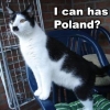 I can has Poland? I can has Poland?