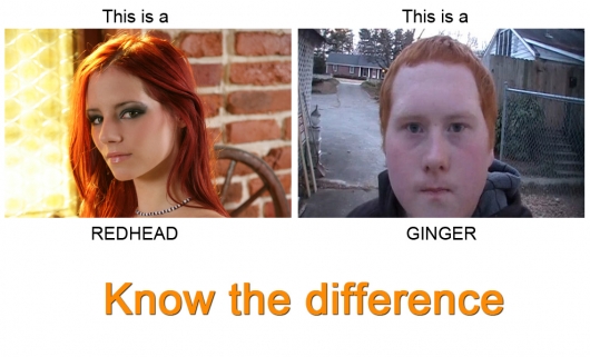 Redhead vs. ginger