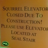 Squirrel elevator closed Squirrel elevator closed