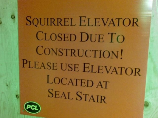 Squirrel elevator closed