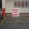 Stupidity is not a disability Stupidity is not a disability