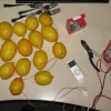 Battery charger mnade of lemons Battery charger mnade of lemons
