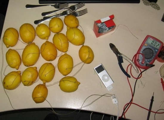 Battery charger mnade of lemons