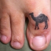 Camel toe Camel toe