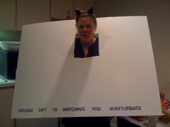 Ceiling cat costume