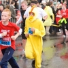 Chicken on a marathon Chicken on a marathon
