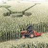 Crop circles - The truth Crop circles - The truth