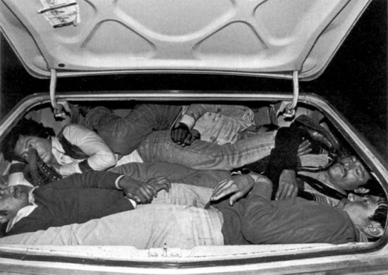 How many illegal immigrants can you fit into the trunk of a car?