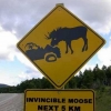 Invincible moose