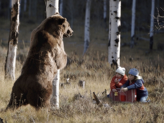 Kids tricking a bear with an apple