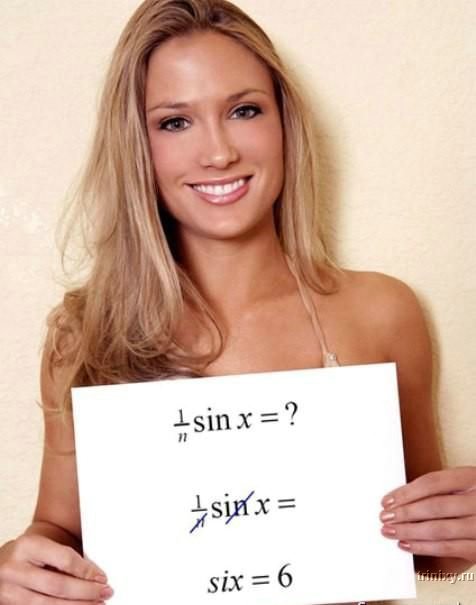 Math for blondes