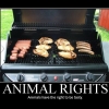 Motivational poster: Animal rights Motivational poster: Animal rights