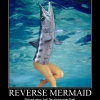 Reverse mermaid Reverse mermaid