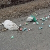 The Easter Bunny is dead The Easter Bunny is dead