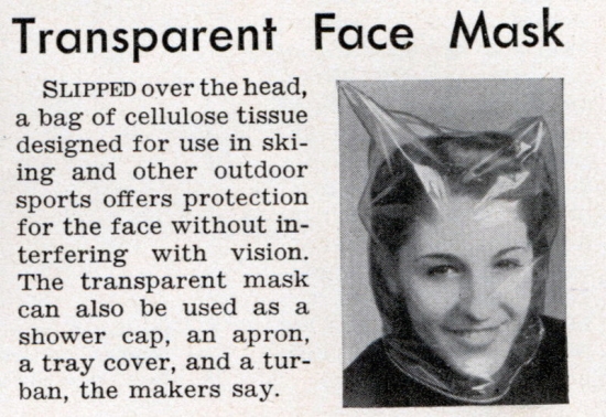 Transparent face mask