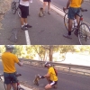 Bicyclists vs. Koala bear Bicyclists vs. Koala bear