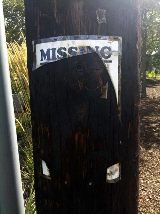 Missing