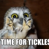 Time for tickles Time for tickles