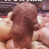Admiral Ackbar potato Admiral Ackbar potato
